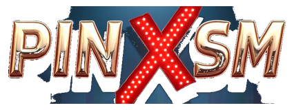 pin xsm logo